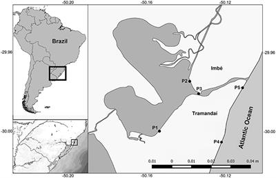 Long-Term Spatiotemporal Variation in the Juvenile Fish Assemblage of the Tramandaí River Estuary (29°S) and Adjacent Coast in Southern Brazil